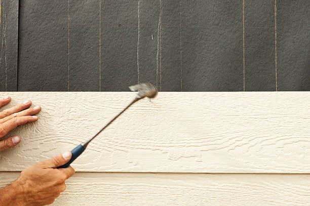 Best Stone Veneer Siding  in Wiggins, CO
