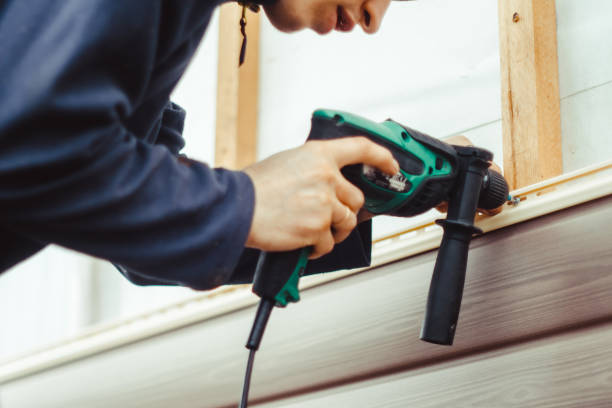 Professional Siding in Wiggins, CO